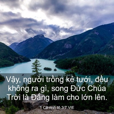 Picture 03 - 1 Cô-rinh-tô 3:7 VIE - Vậy, người trồng kẻ tưới, đều - Bible Verse Picture