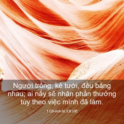 Picture 03 - 1 Cô-rinh-tô 3:8 VIE - Người trồng, kẻ tưới, đều bằng - Bible Verse Picture