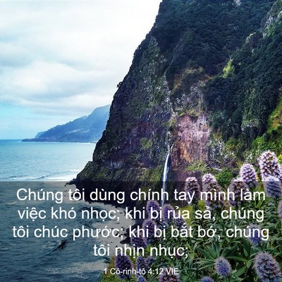 Picture 03 - 1 Cô-rinh-tô 4:12 VIE - Chúng tôi dùng chính tay mình làm việc - Bible Verse Picture