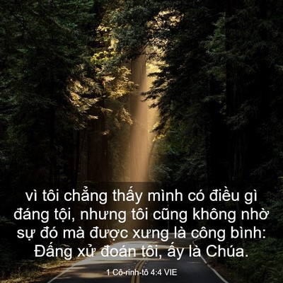 Picture 03 - 1 Cô-rinh-tô 4:4 VIE - vì tôi chẳng thấy mình có điều gì - Bible Verse Picture