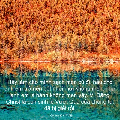 Picture 03 - 1 Cô-rinh-tô 5:7 VIE - Hãy làm cho mình sạch men cũ đi, hầu cho - Bible Verse Picture