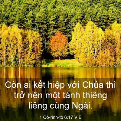 Picture 03 - 1 Cô-rinh-tô 6:17 VIE - Còn ai kết hiệp với Chúa thì trở nên - Bible Verse Picture
