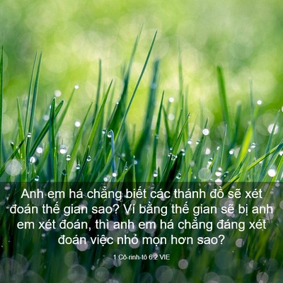 Picture 03 - 1 Cô-rinh-tô 6:2 VIE - Anh em há chẳng biết các thánh đồ sẽ - Bible Verse Picture