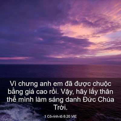 Picture 03 - 1 Cô-rinh-tô 6:20 VIE - Vì chưng anh em đã được chuộc bằng - Bible Verse Picture