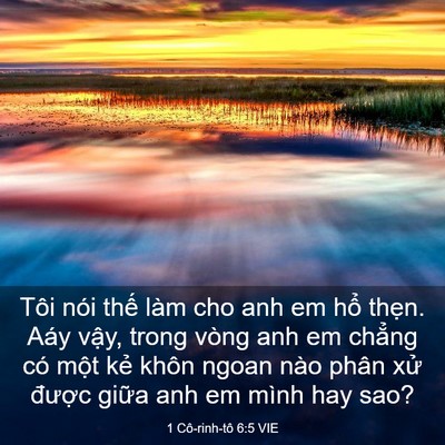 Picture 03 - 1 Cô-rinh-tô 6:5 VIE - Tôi nói thế làm cho anh em hổ thẹn. Aáy - Bible Verse Picture