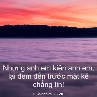 Picture 03 - 1 Cô-rinh-tô 6:6 VIE - Nhưng anh em kiện anh em, lại đem đến - Bible Verse Picture