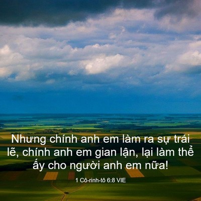 Picture 03 - 1 Cô-rinh-tô 6:8 VIE - Nhưng chính anh em làm ra sự trái lẽ, - Bible Verse Picture