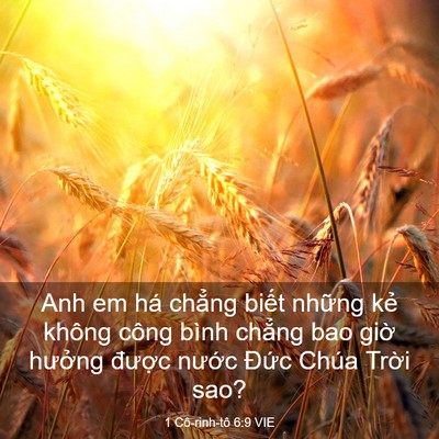 Picture 03 - 1 Cô-rinh-tô 6:9 VIE - Anh em há chẳng biết những kẻ không - Bible Verse Picture