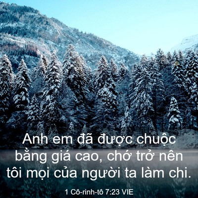 Picture 03 - 1 Cô-rinh-tô 7:23 VIE - Anh em đã được chuộc bằng giá cao, - Bible Verse Picture