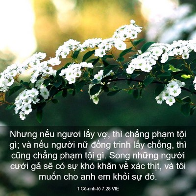 Picture 03 - 1 Cô-rinh-tô 7:28 VIE - Nhưng nếu ngươi lấy vợ, thì chẳng - Bible Verse Picture