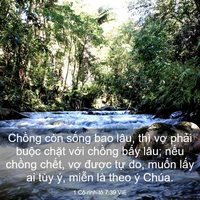 Picture 03 - 1 Cô-rinh-tô 7:39 VIE - Chồng còn sống bao lâu, thì vợ phải - Bible Verse Picture