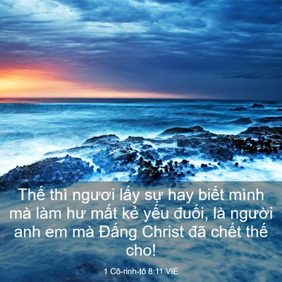 Picture 03 - 1 Cô-rinh-tô 8:11 VIE - Thế thì ngươi lấy sự hay biết mình - Bible Verse Picture