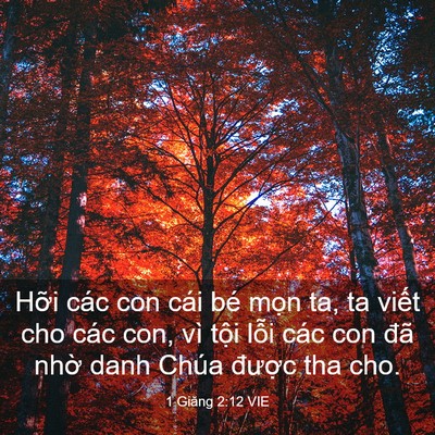 Picture 03 - 1 Giăng 2:12 VIE - Hỡi các con cái bé mọn ta, ta viết cho - Bible Verse Picture