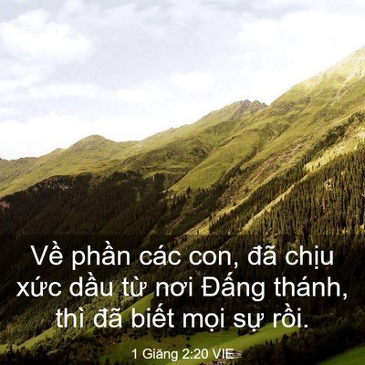 Picture 03 - 1 Giăng 2:20 VIE - Về phần các con, đã chịu xức dầu - Bible Verse Picture