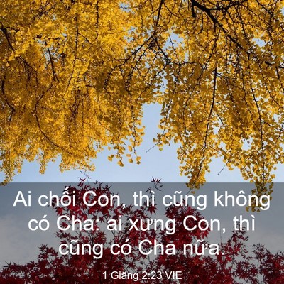 Picture 03 - 1 Giăng 2:23 VIE - Ai chối Con, thì cũng không có Cha: ai - Bible Verse Picture