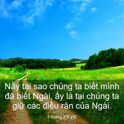 Picture 03 - 1 Giăng 2:3 VIE - Nầy tại sao chúng ta biết mình đã - Bible Verse Picture
