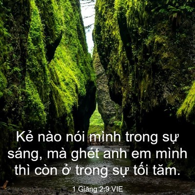 Picture 03 - 1 Giăng 2:9 VIE - Kẻ nào nói mình trong sự sáng, mà ghét - Bible Verse Picture