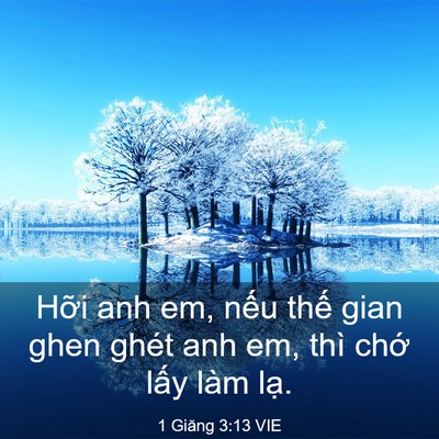 Picture 03 - 1 Giăng 3:13 VIE - Hỡi anh em, nếu thế gian ghen ghét anh em, - Bible Verse Picture