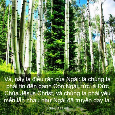 Picture 03 - 1 Giăng 3:23 VIE - Vả, nầy là điều răn của Ngài: là - Bible Verse Picture