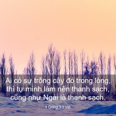 Picture 03 - 1 Giăng 3:3 VIE - Ai có sự trông cậy đó trong lòng, thì - Bible Verse Picture