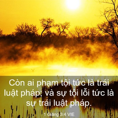 Picture 03 - 1 Giăng 3:4 VIE - Còn ai phạm tội tức là trái luật - Bible Verse Picture