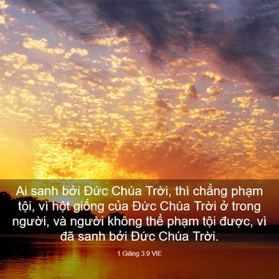 Picture 03 - 1 Giăng 3:9 VIE - Ai sanh bởi Đức Chúa Trời, thì chẳng - Bible Verse Picture