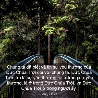 Picture 03 - 1 Giăng 4:16 VIE - Chúng ta đã biết và tin sự yêu thương - Bible Verse Picture
