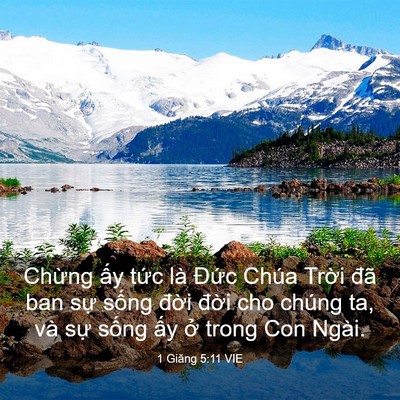 Picture 03 - 1 Giăng 5:11 VIE - Chừng ấy tức là Đức Chúa Trời đã - Bible Verse Picture