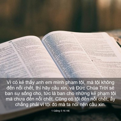 Picture 03 - 1 Giăng 5:16 VIE - Vì có kẻ thấy anh em mình phạm tội, - Bible Verse Picture