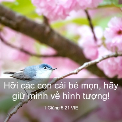 Picture 03 - 1 Giăng 5:21 VIE - Hỡi các con cái bé mọn, hãy giữ mình - Bible Verse Picture