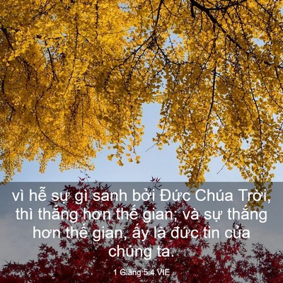 Picture 03 - 1 Giăng 5:4 VIE - vì hễ sự gì sanh bởi Đức Chúa Trời, - Bible Verse Picture