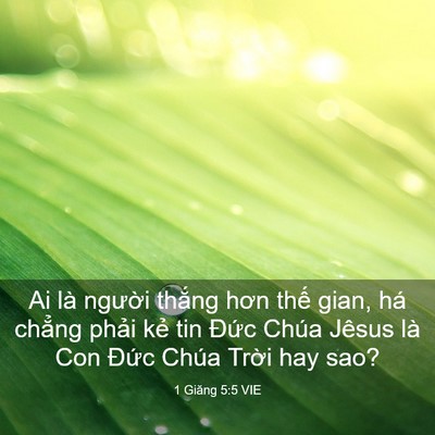 Picture 03 - 1 Giăng 5:5 VIE - Ai là người thắng hơn thế gian, há - Bible Verse Picture