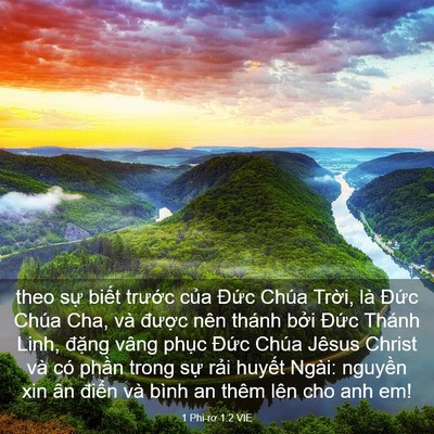 Picture 03 - 1 Phi-rơ 1:2 VIE - theo sự biết trước của Đức Chúa - Bible Verse Picture