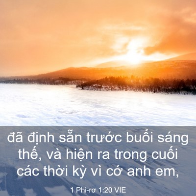 Picture 03 - 1 Phi-rơ 1:20 VIE - đã định sẵn trước buổi sáng thế, - Bible Verse Picture
