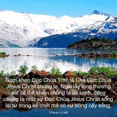 Picture 03 - 1 Phi-rơ 1:3 VIE - Ngợi khen Đức Chúa Trời, là Cha Đức - Bible Verse Picture