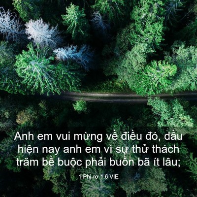 Picture 03 - 1 Phi-rơ 1:6 VIE - Anh em vui mừng về điều đó, dầu hiện - Bible Verse Picture