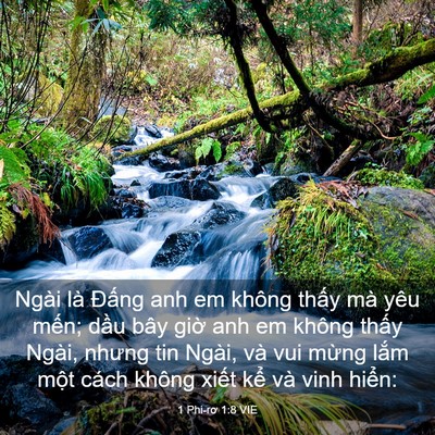 Picture 03 - 1 Phi-rơ 1:8 VIE - Ngài là Đấng anh em không thấy mà yêu - Bible Verse Picture