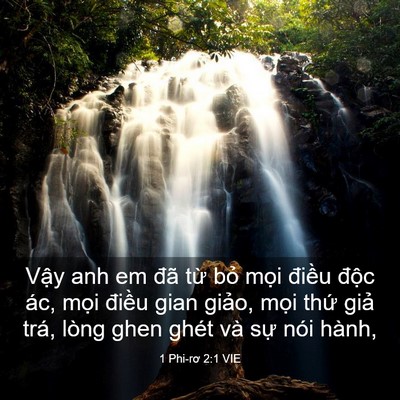 Picture 03 - 1 Phi-rơ 2:1 VIE - Vậy anh em đã từ bỏ mọi điều độc - Bible Verse Picture