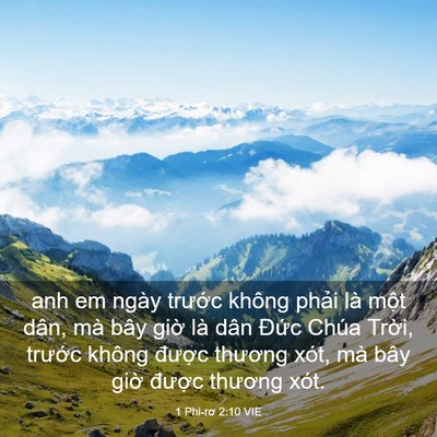 Picture 03 - 1 Phi-rơ 2:10 VIE - anh em ngày trước không phải là một - Bible Verse Picture