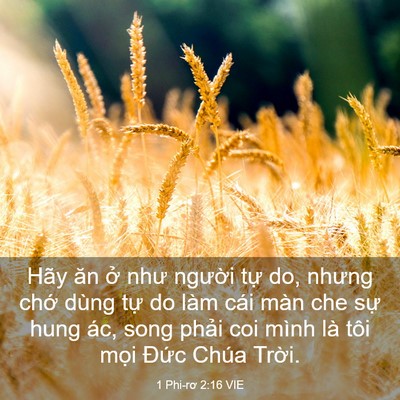 Picture 03 - 1 Phi-rơ 2:16 VIE - Hãy ăn ở như người tự do, nhưng chớ - Bible Verse Picture