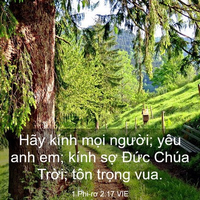 Picture 03 - 1 Phi-rơ 2:17 VIE - Hãy kính mọi người; yêu anh em; kính - Bible Verse Picture