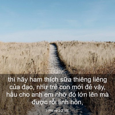 Picture 03 - 1 Phi-rơ 2:2 VIE - thì hãy ham thích sữa thiêng liêng của - Bible Verse Picture