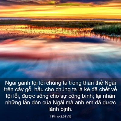 Picture 03 - 1 Phi-rơ 2:24 VIE - Ngài gánh tội lỗi chúng ta trong thân - Bible Verse Picture