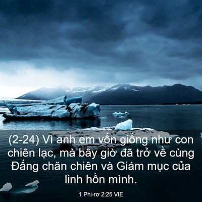 Picture 03 - 1 Phi-rơ 2:25 VIE - (2-24) Vì anh em vốn giống như con chiên - Bible Verse Picture