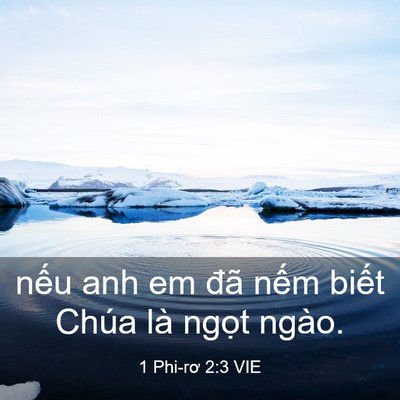 Picture 03 - 1 Phi-rơ 2:3 VIE - nếu anh em đã nếm biết Chúa là ngọt - Bible Verse Picture