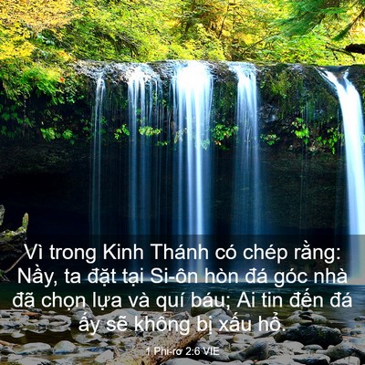 Picture 03 - 1 Phi-rơ 2:6 VIE - Vì trong Kinh Thánh có chép rằng: Nầy, ta - Bible Verse Picture