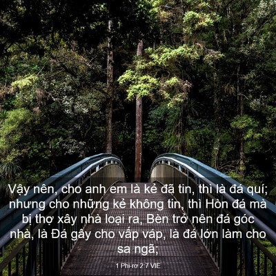Picture 03 - 1 Phi-rơ 2:7 VIE - Vậy nên, cho anh em là kẻ đã tin, thì - Bible Verse Picture