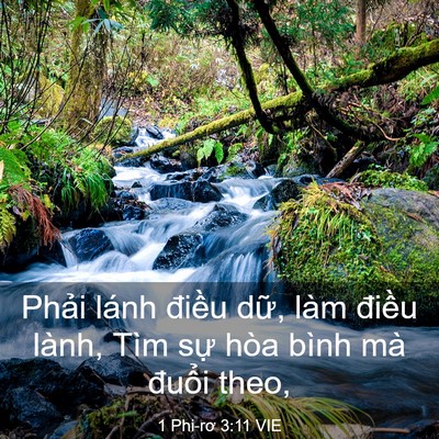 Picture 03 - 1 Phi-rơ 3:11 VIE - Phải lánh điều dữ, làm điều lành, - Bible Verse Picture