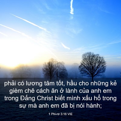 Picture 03 - 1 Phi-rơ 3:16 VIE - phải có lương tâm tốt, hầu cho những - Bible Verse Picture