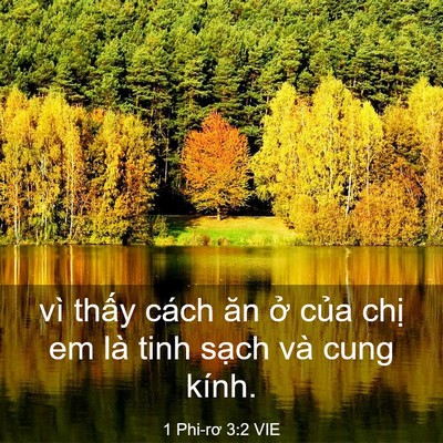 Picture 03 - 1 Phi-rơ 3:2 VIE - vì thấy cách ăn ở của chị em là tinh - Bible Verse Picture